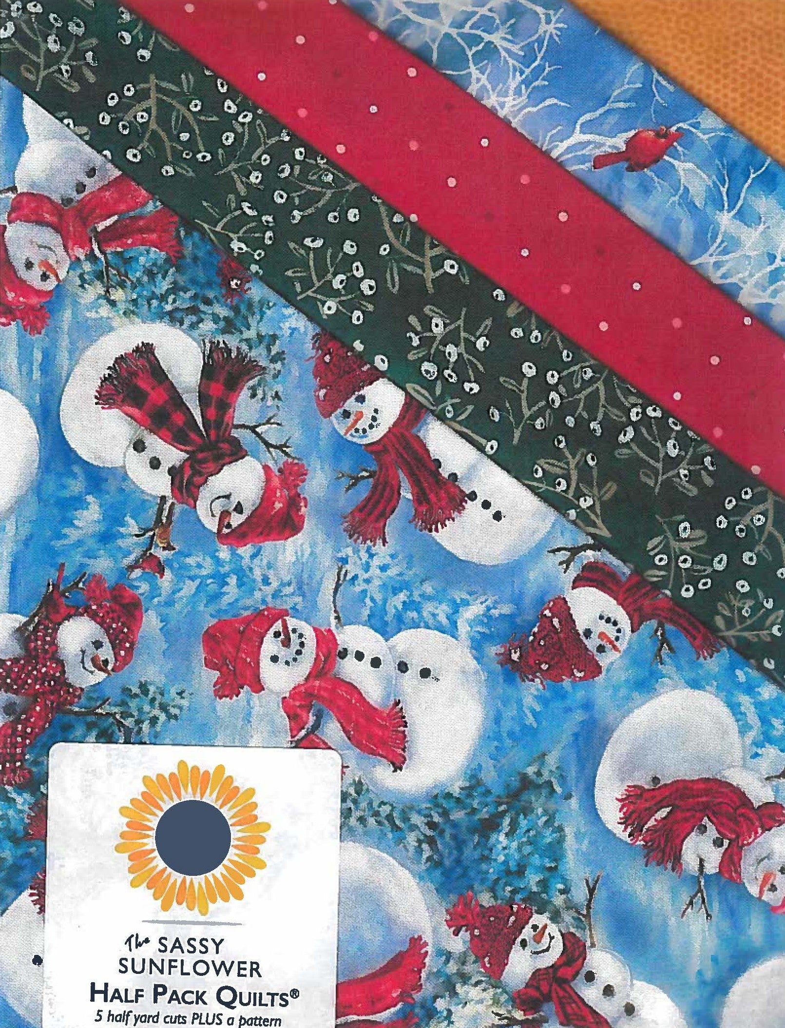 Sassy Half Pack Fabric Kit -