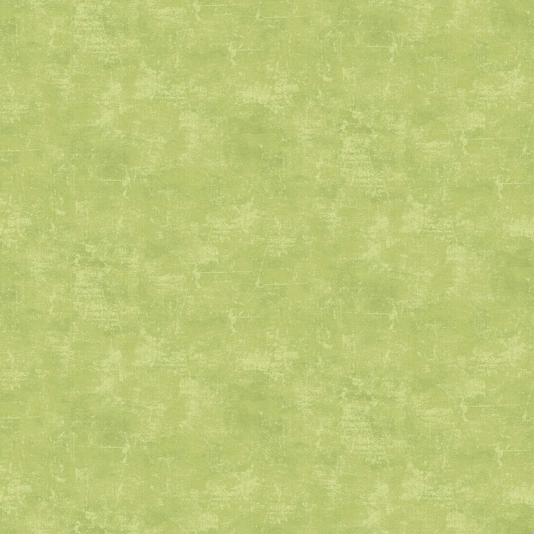 Canvas - Kiwi