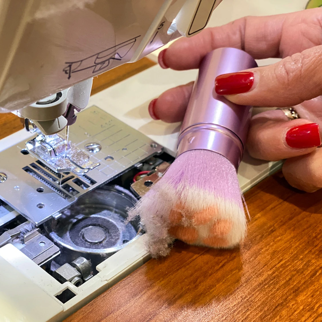 The Cat Paw Lint Brush