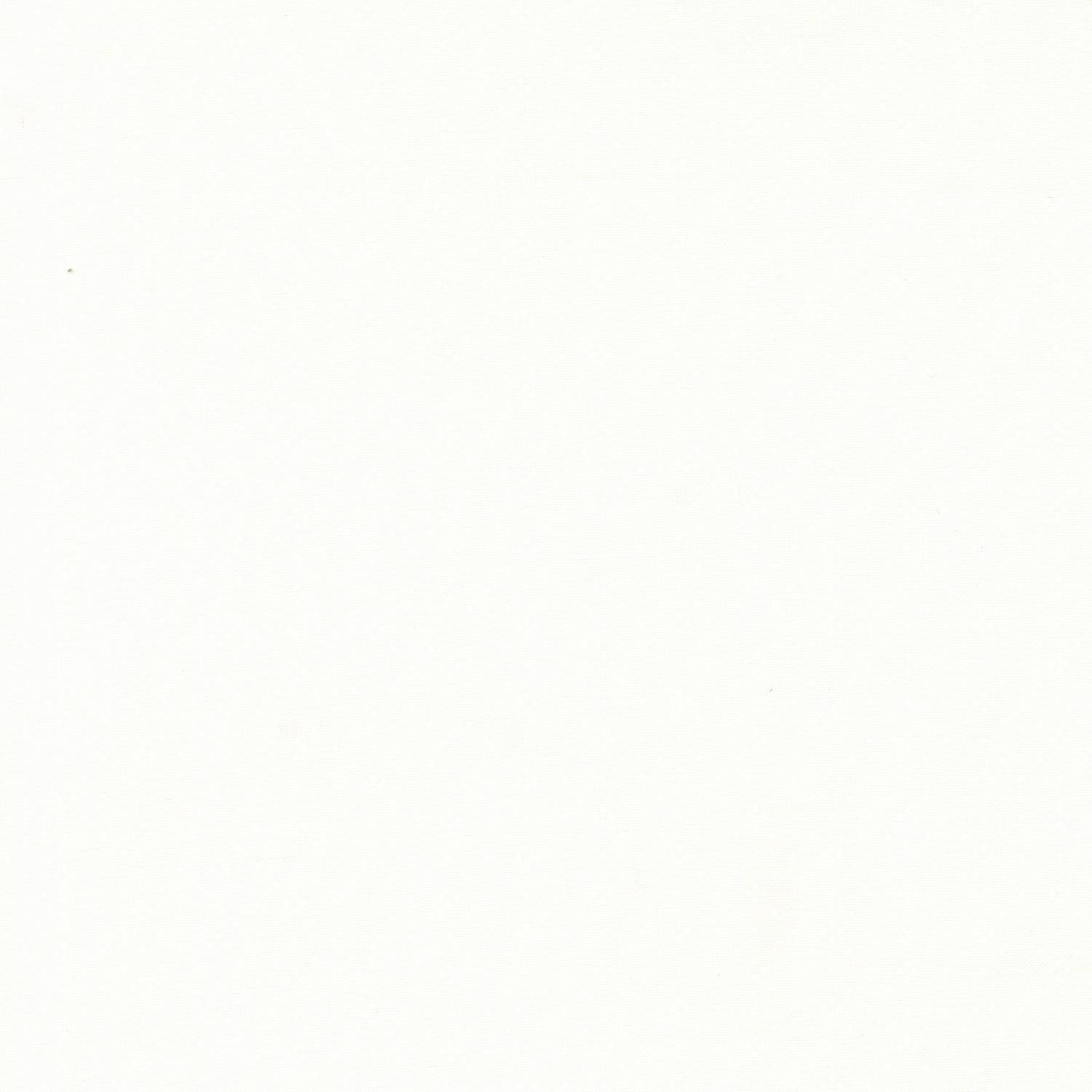 Eyelet - Ivory