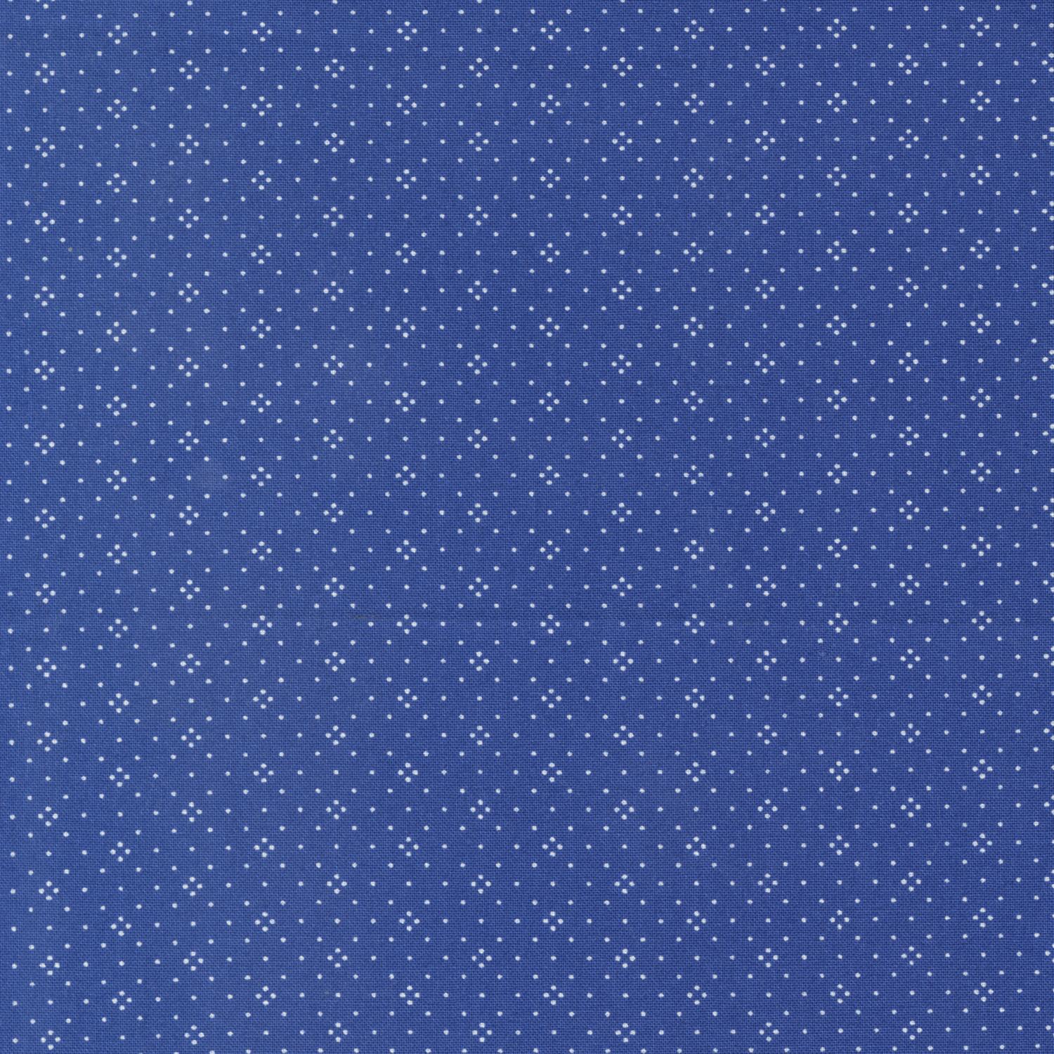 Eyelet - Navy