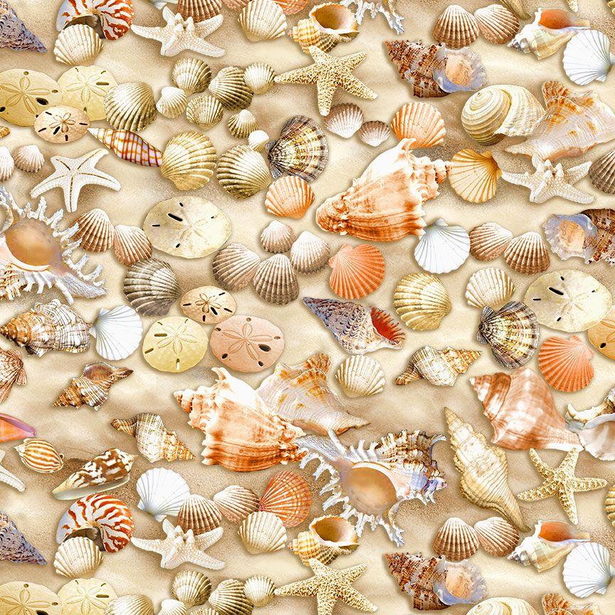 Novelties - Beachcomer Shells
